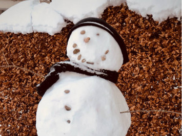 Großer Schneemann mit breitem Lächeln sorgt für gute Laune (Bild: privat)